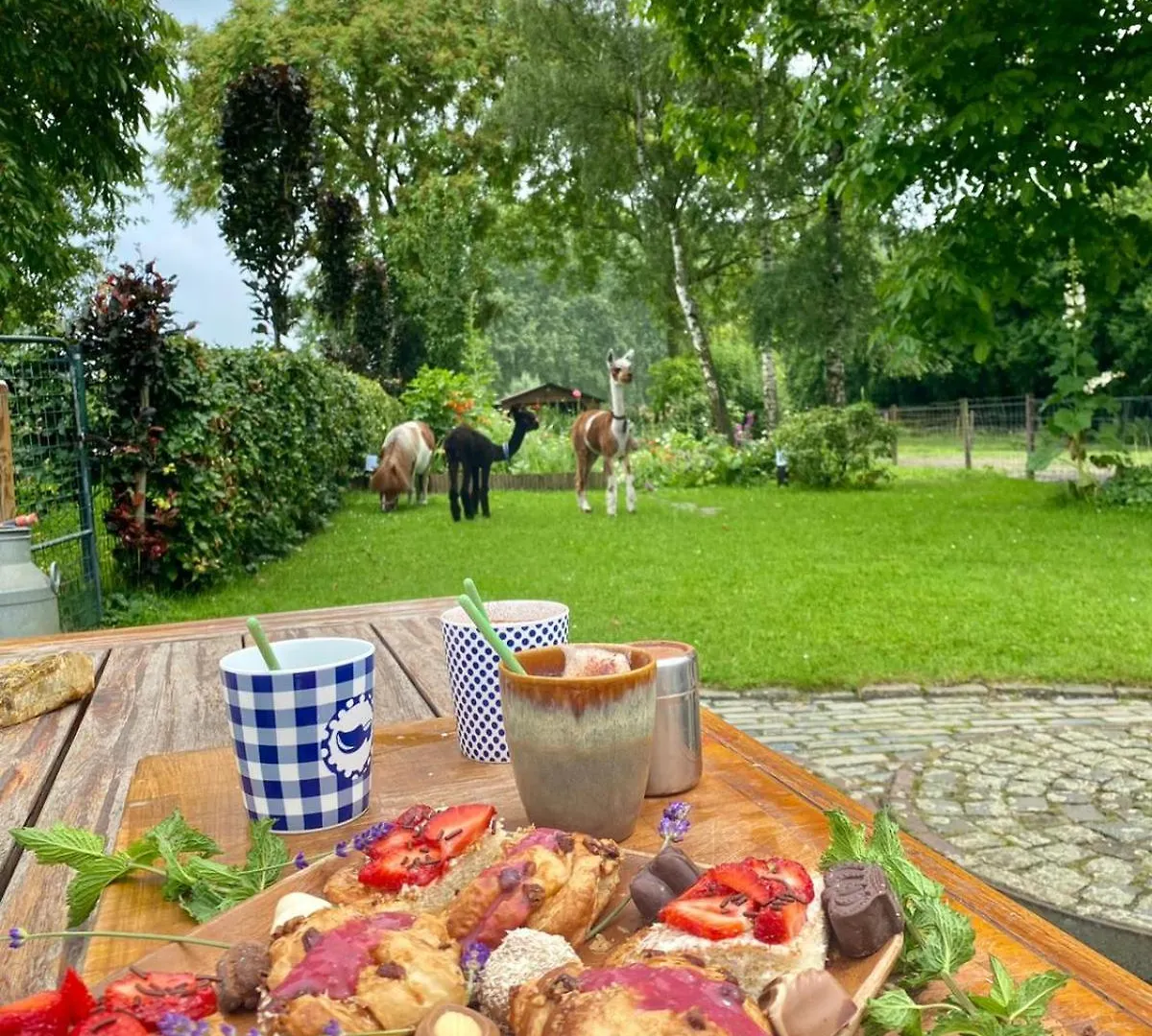 Aparthotel Best Boerderij B&B