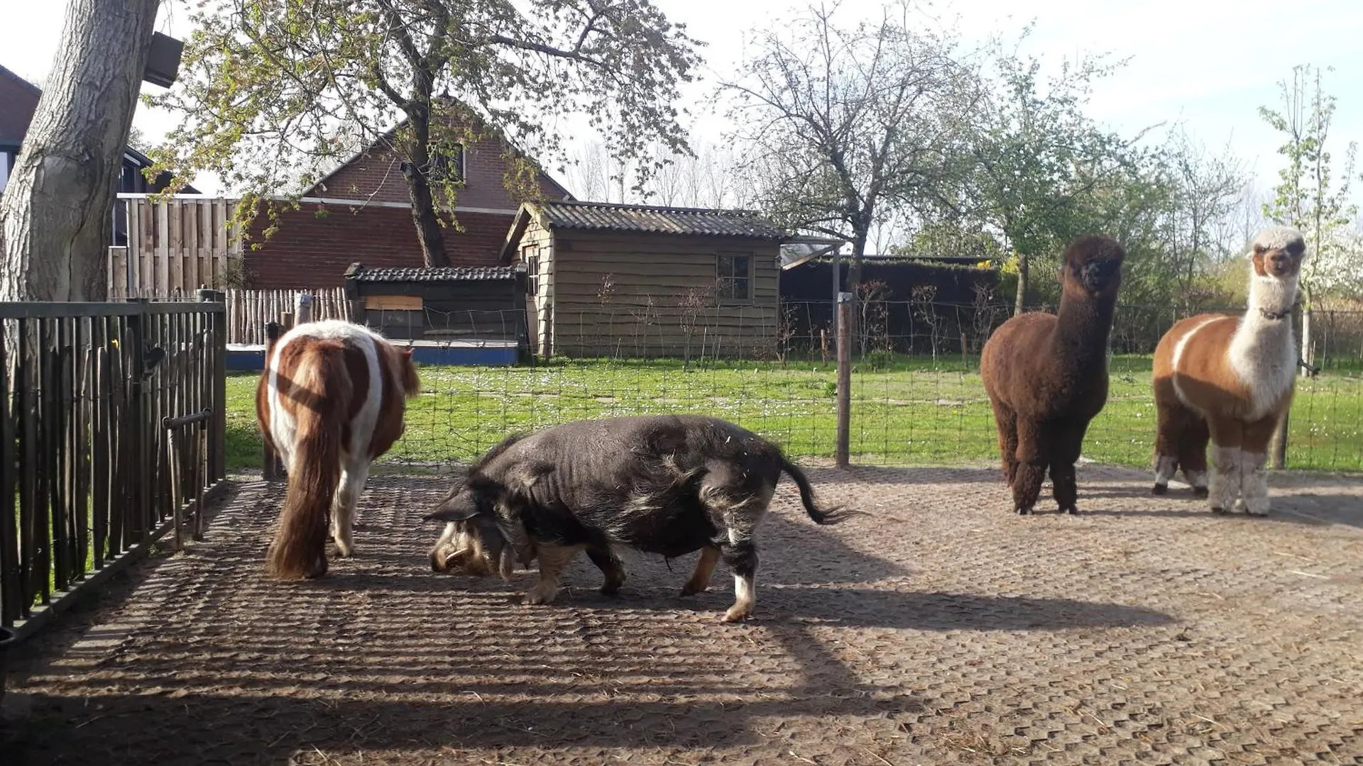 Best Boerderij B&B 0*,